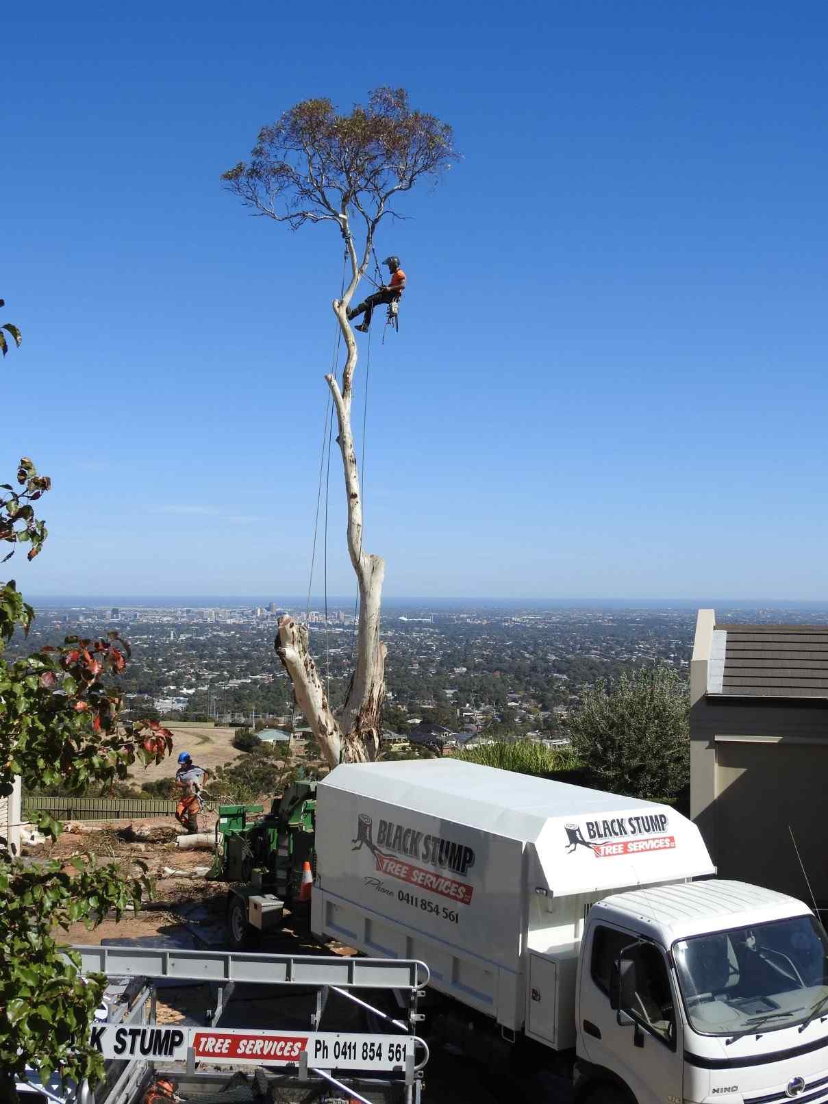 On-site tree work