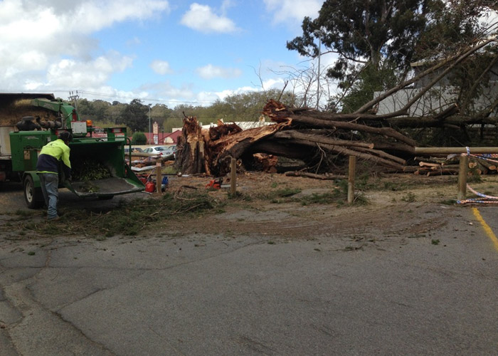 Black Stump team at work