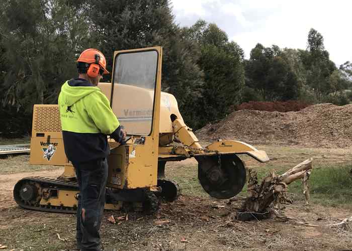 Stump Removal